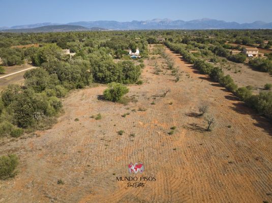 Terreno edificable en Algaida, Mallorca, Illes Balears